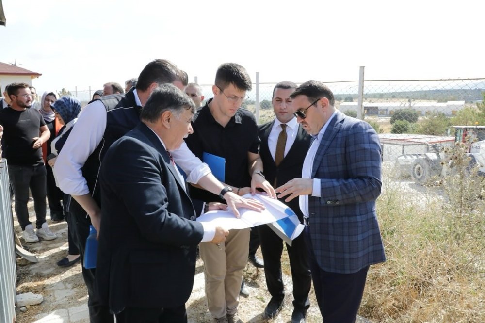 Sahipsiz Hayvanlara Yönelik Hizmetler Toplumsal Duyarlılığın Bir Göstergesidir