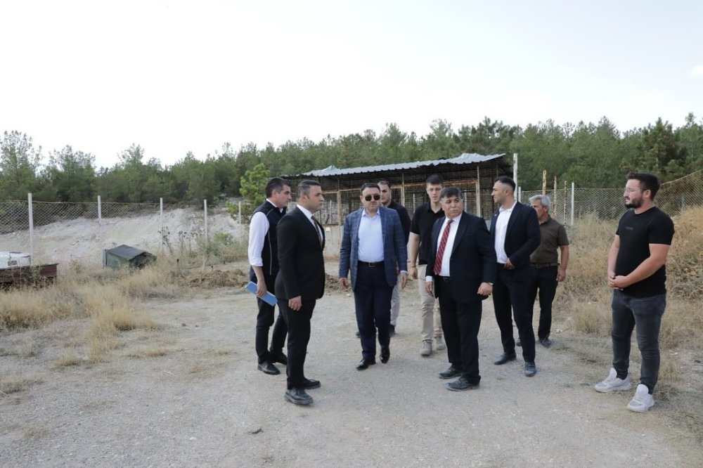 Sahipsiz Hayvanlara Yönelik Hizmetler Toplumsal Duyarlılığın Bir Göstergesidir
