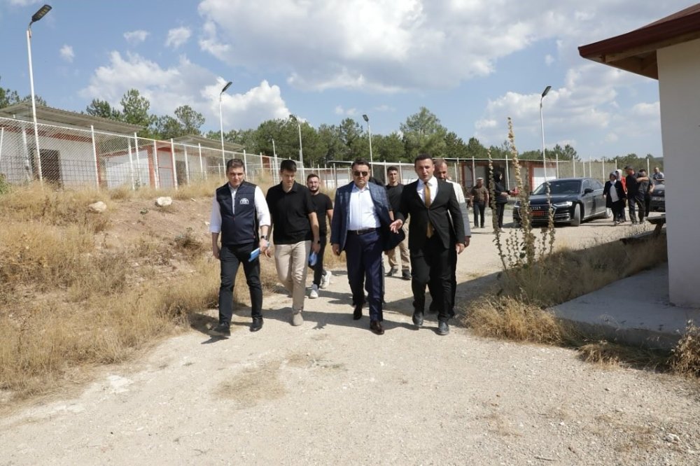 Sahipsiz Hayvanlara Yönelik Hizmetler Toplumsal Duyarlılığın Bir Göstergesidir