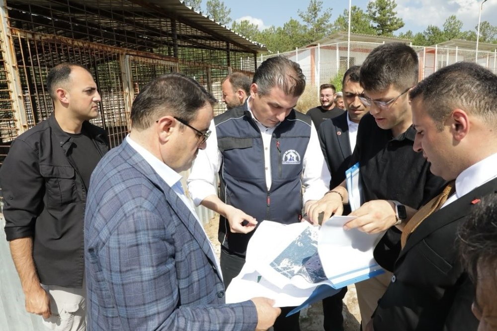 Sahipsiz Hayvanlara Yönelik Hizmetler Toplumsal Duyarlılığın Bir Göstergesidir