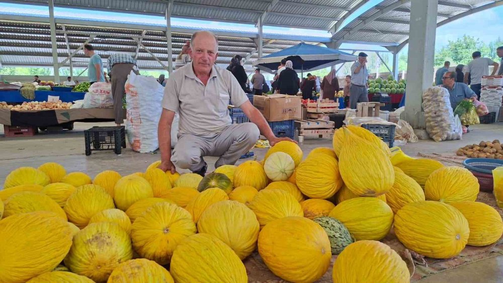 Yerli Kavun 20 TL’den Tezgâhta Yerini Aldı