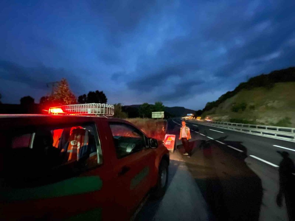Kaçak Orman Ürünlerine Geçit Yok!