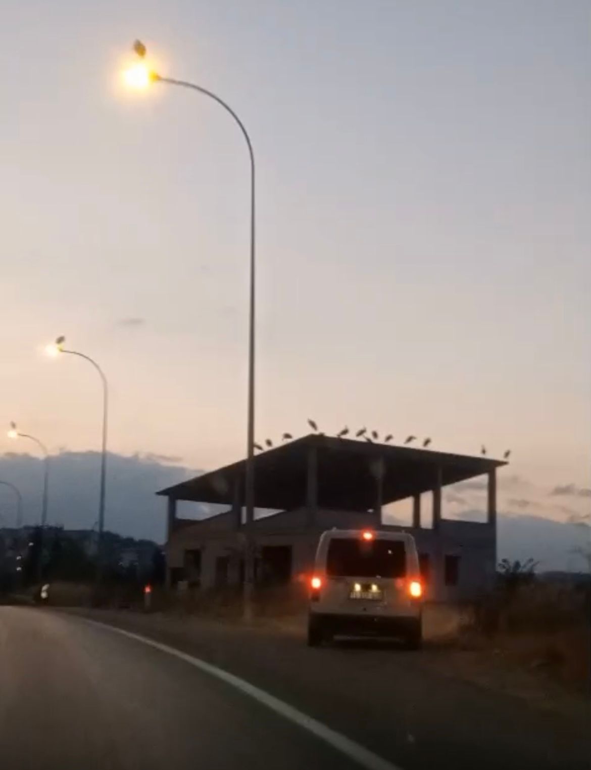 leyleklerin-gocu-bilecikte-gorsel-solen-yaratti-2.jpeg