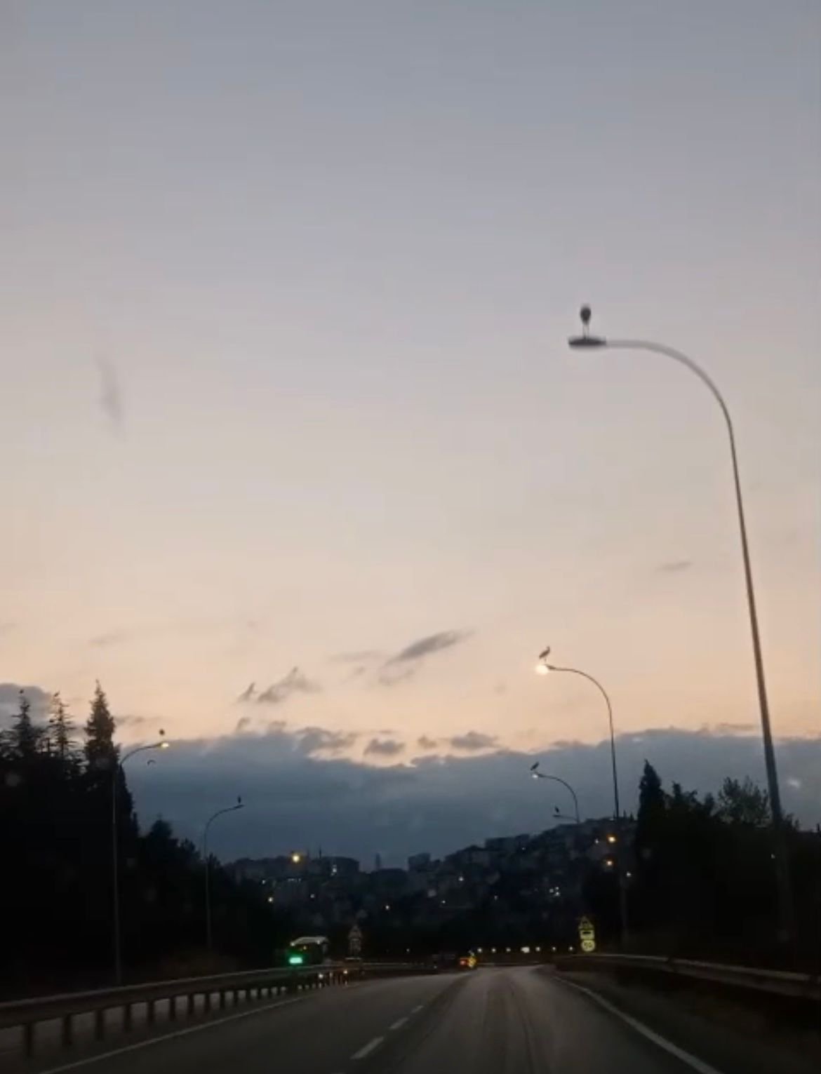 leyleklerin-gocu-bilecikte-gorsel-solen-yaratti-3.jpeg