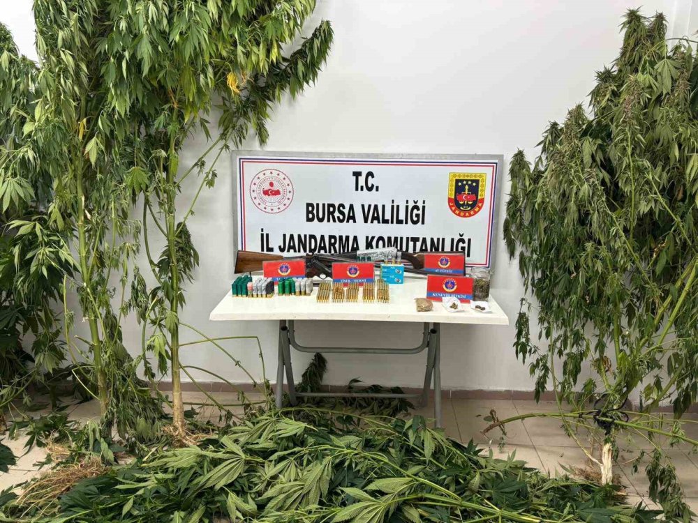 Jandarmadan Uyuşturucu Operasyonu: Çok Sayıda Silah Ve Mühimmat Da Ele Geçirildi