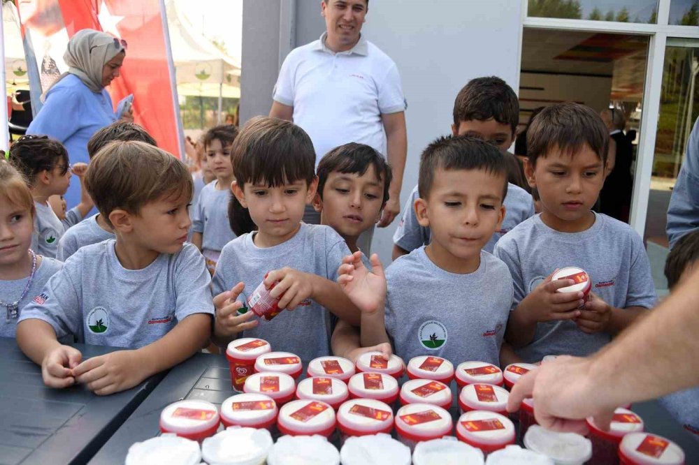 Minikler Yaz Tatilinde Yüzmeyi Öğrendi