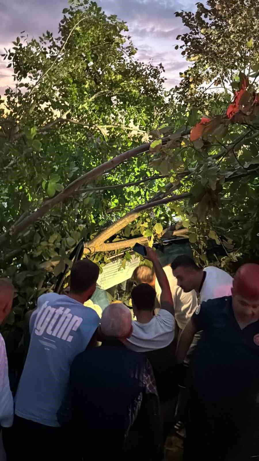 Kontrolden Çıkan Otomobil, Ağaçlık Alana Girdi: 3 Yaralı
