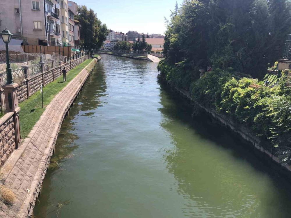 Serinlemek İçin Porsuk Çayı’na Girdi, Zabıta Ekipleri Tarafından Çıkarıldı