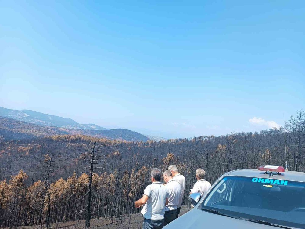 Bursa’da Yanan Ağaçları Tek Tek Saydılar...hem Havadan Hem Karadan