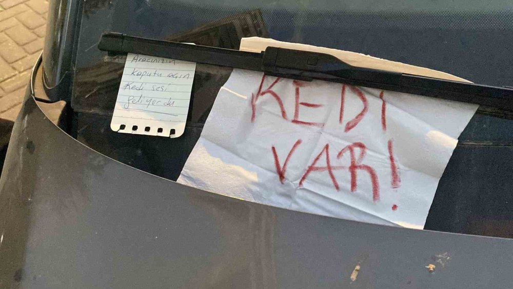 Otomobilin Kaputunda Mahsur Kalan Kediyi Kurtarmak İçin Mahalleli Seferber Oldu