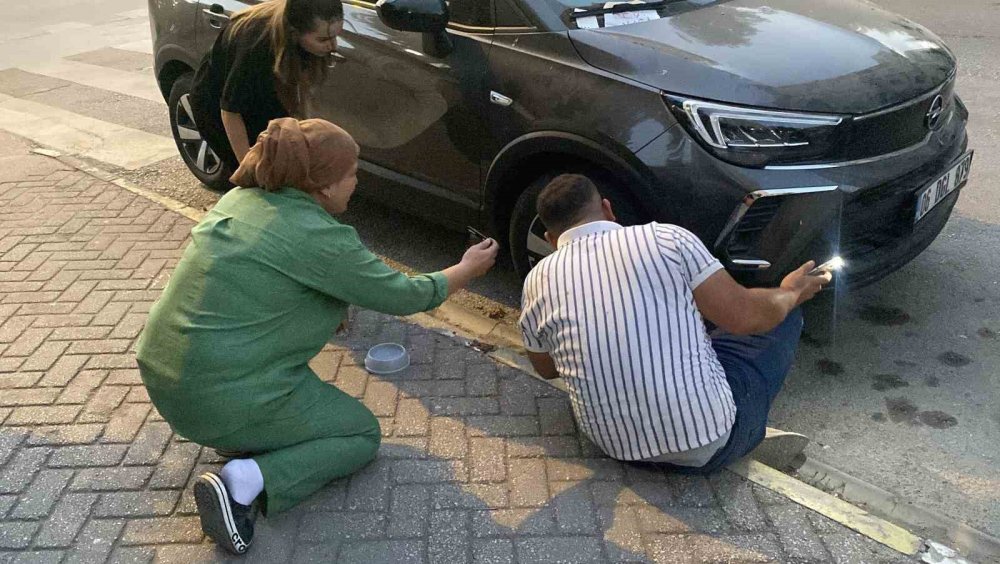 Otomobilin Kaputunda Mahsur Kalan Kediyi Kurtarmak İçin Mahalleli Seferber Oldu