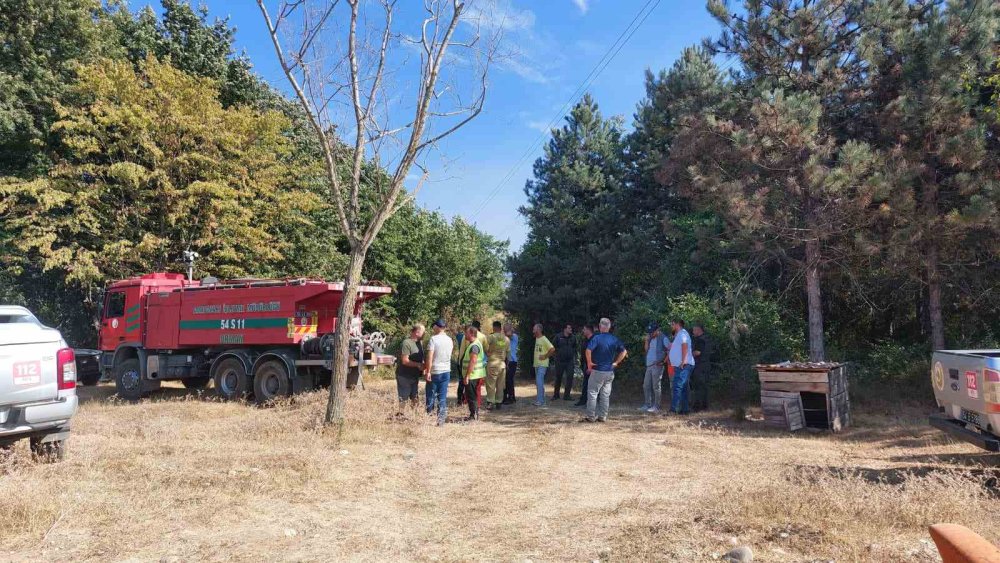 Sakarya’daki Orman Yangını Kontrol Altına Alındı