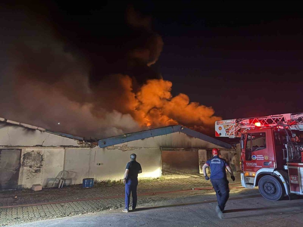 Sakarya’da Boya Fabrikasında Yangın