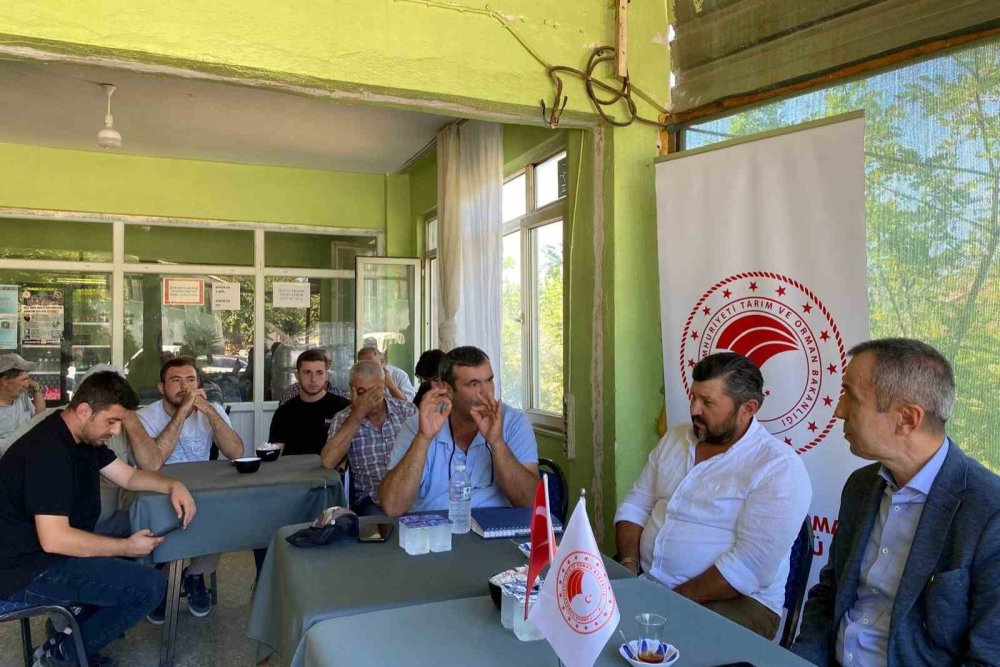 Yeniköy’de Tarımsal Üretim Faaliyetleri