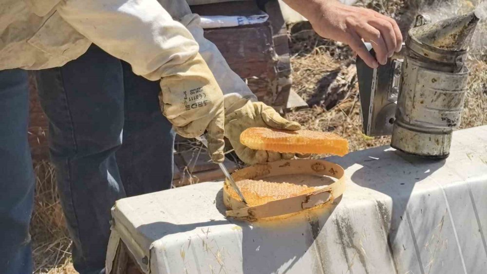 Bursa’da Üretilen Bu Bal Her Derde Deva