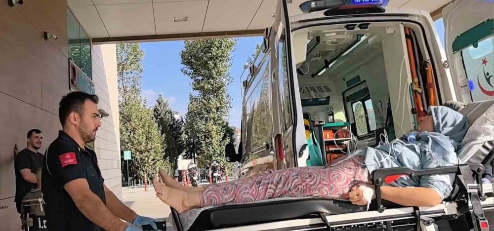Hayvan Çiftliğinde Yangın
