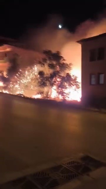 Alev Alan Ağaçlar Villaları Böyle Tehdit Etti