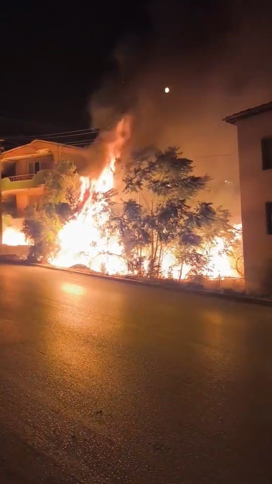 Alev Alan Ağaçlar Villaları Böyle Tehdit Etti