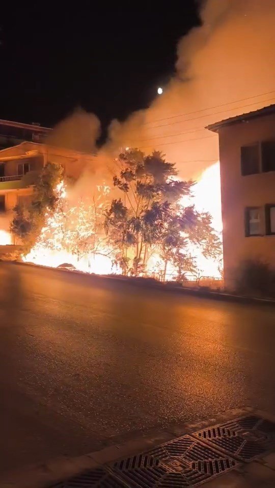 Alev Alan Ağaçlar Villaları Böyle Tehdit Etti