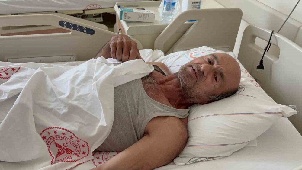 Ayı Saldırısına Uğrayan Vatandaş Canını Ağaca Tırmanarak Kurtardı