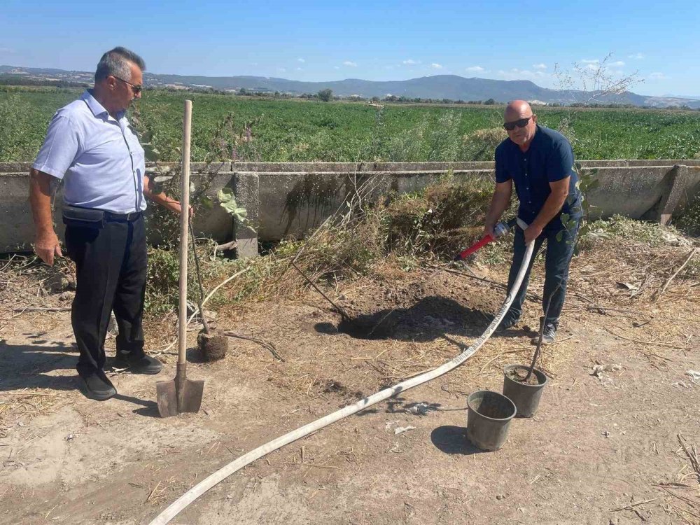 Orman Yangınlarında Kaybedilen Ağaçlar Yerine Fidan Dikilecek