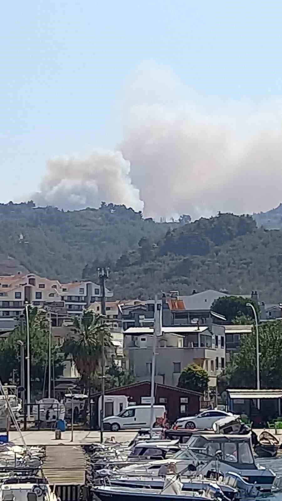 Ormanlık Alanda Yangın Çıktı