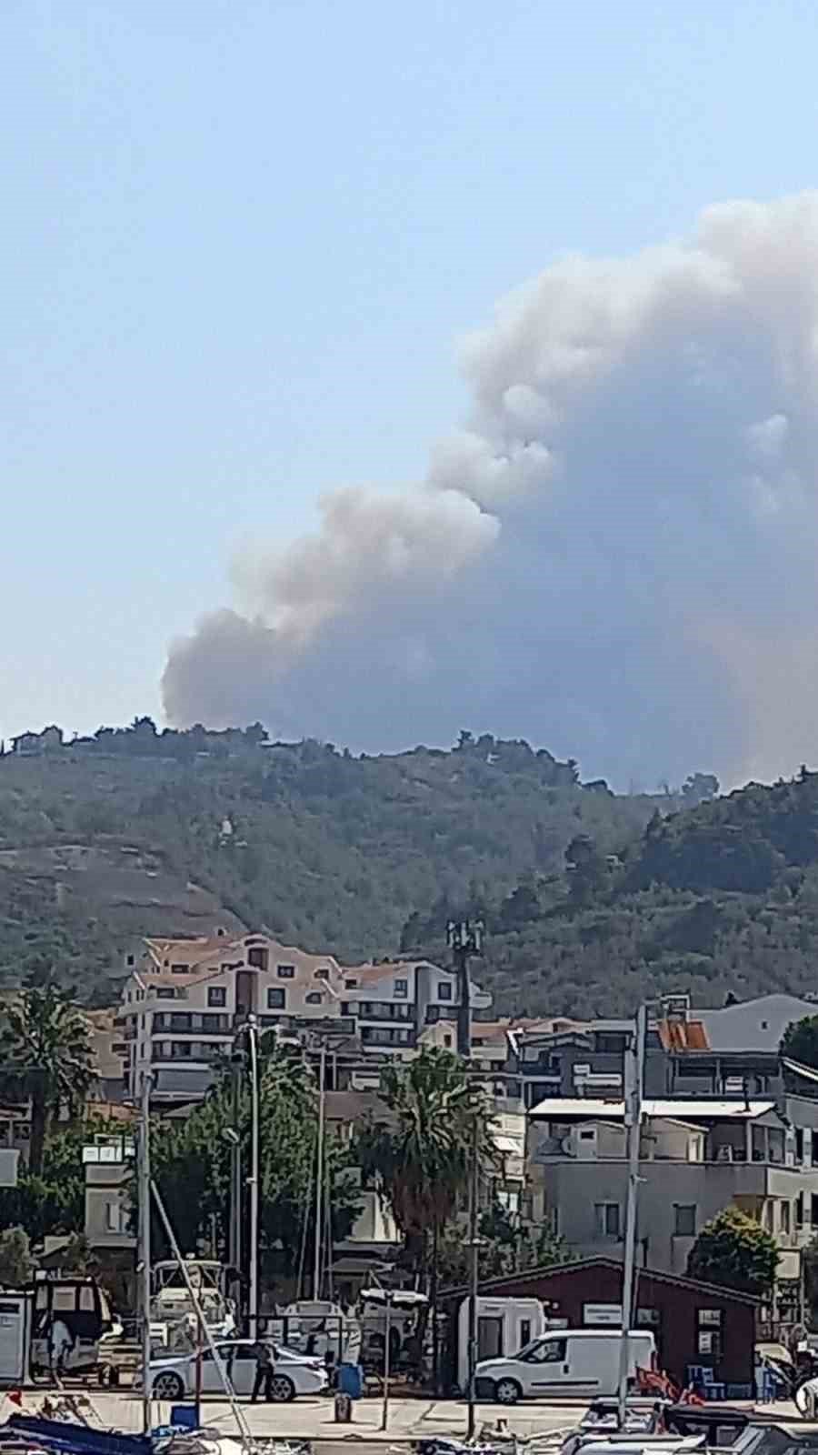 Ormanlık Alanda Yangın Çıktı