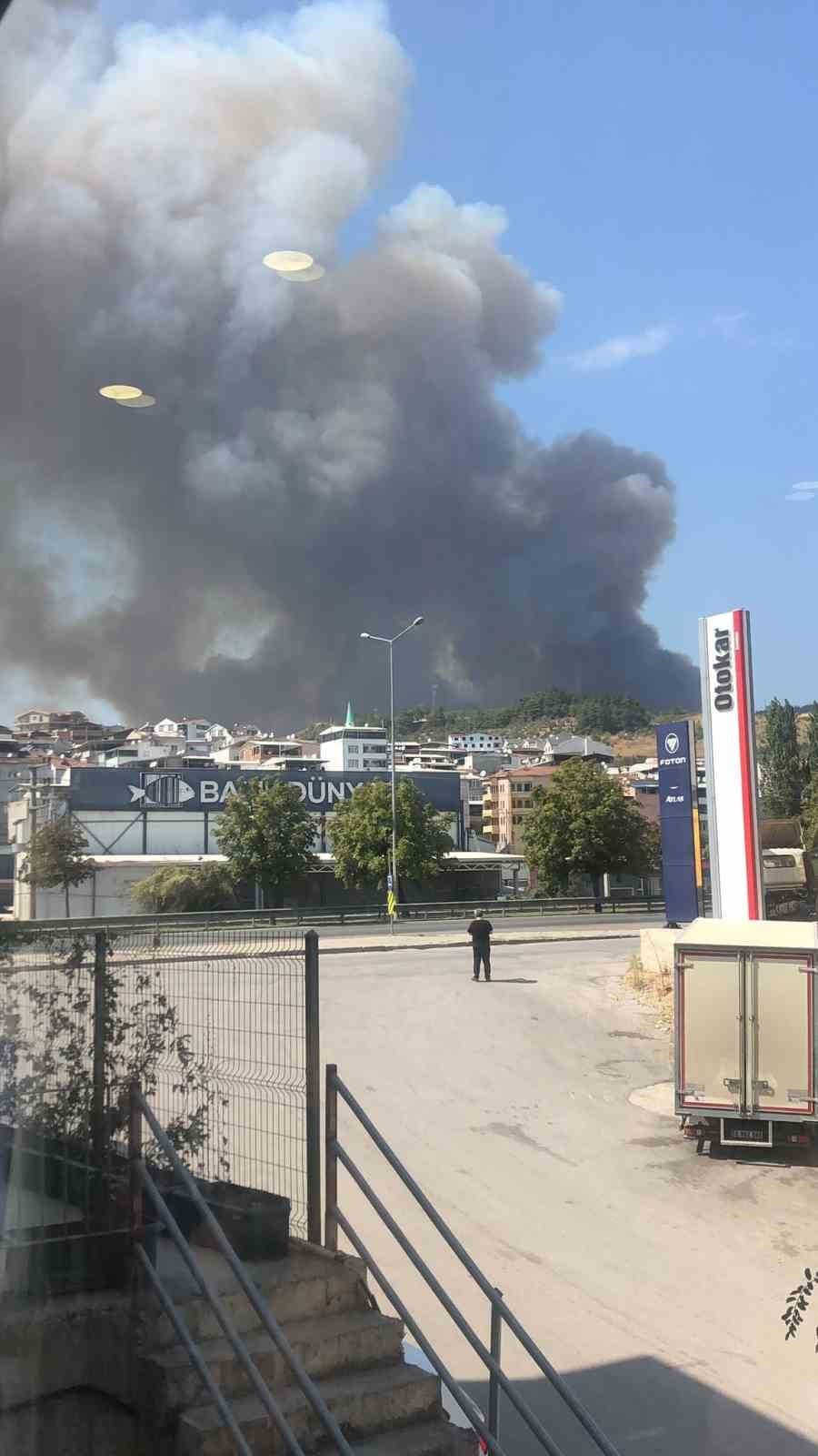 Ormanlık Alanda Yangın Çıktı