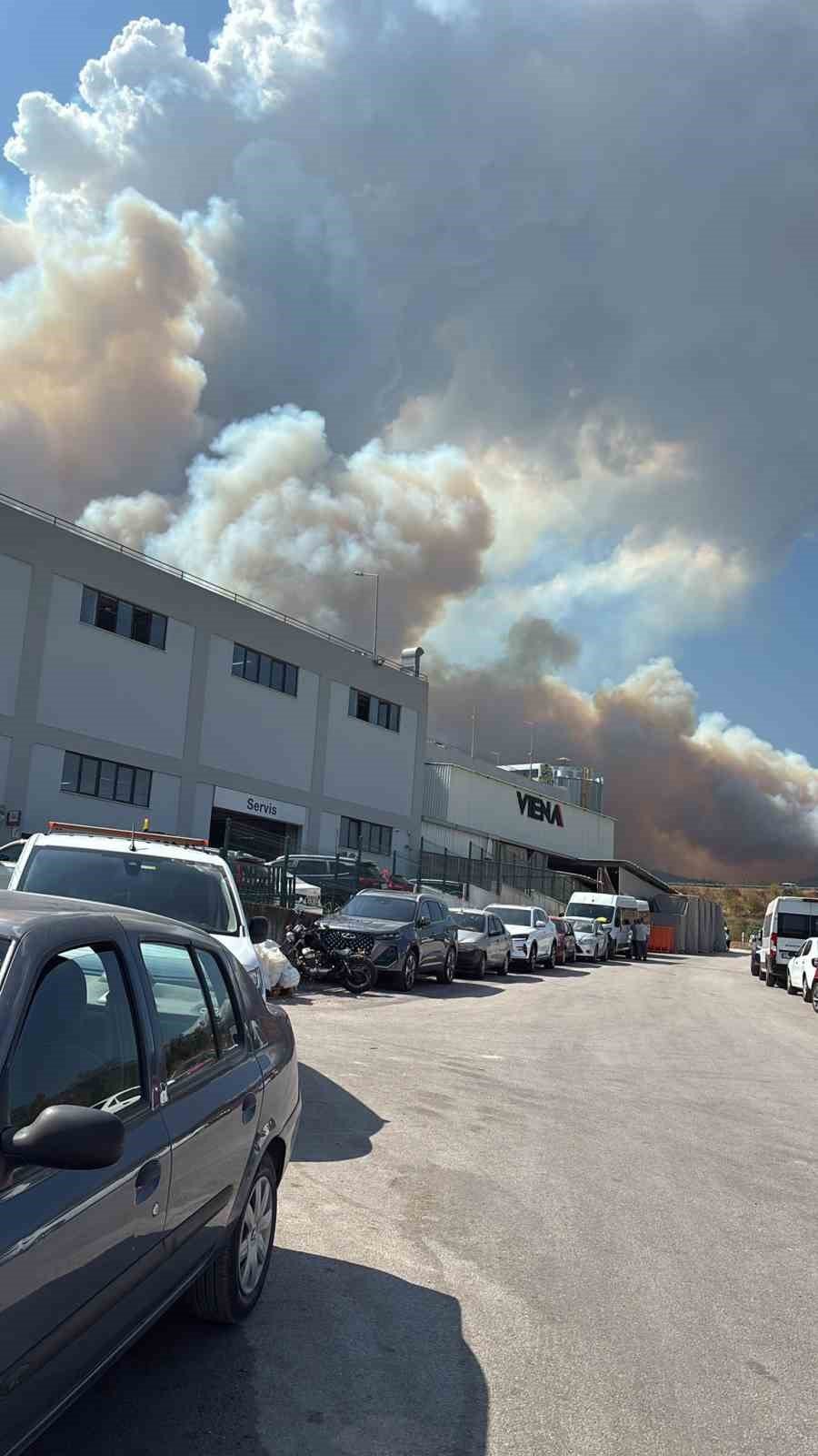 Ormanlık Alanda Yangın Çıktı