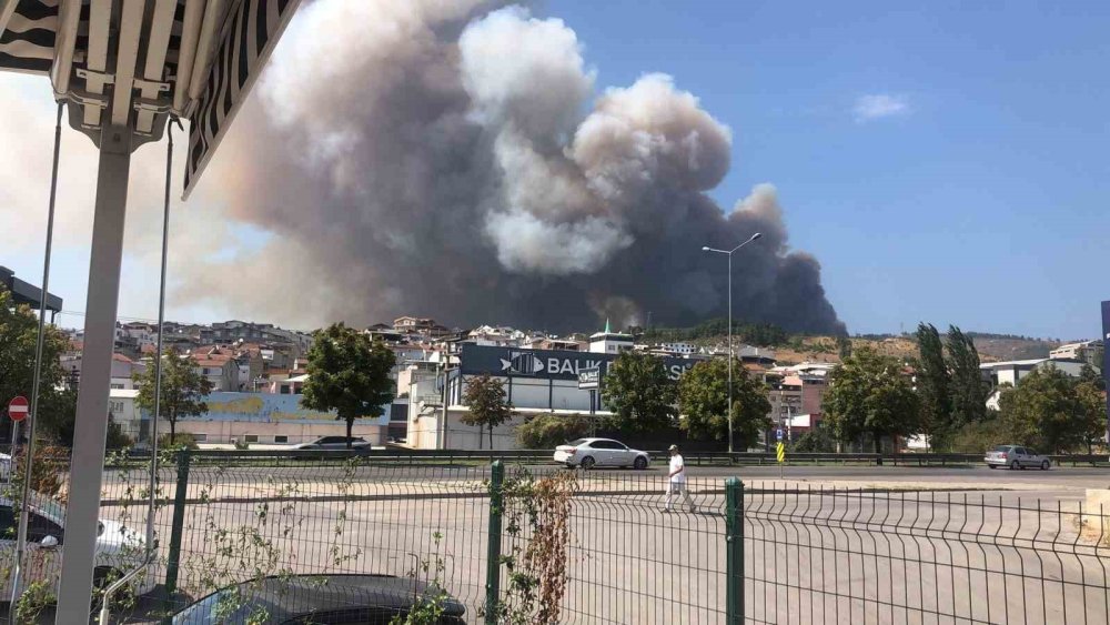 Ormanlık Alanda Yangın Çıktı