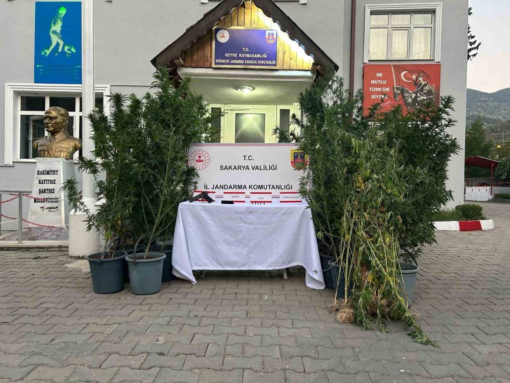 Uyuşturucu Operasyonu: 1 Tutuklama