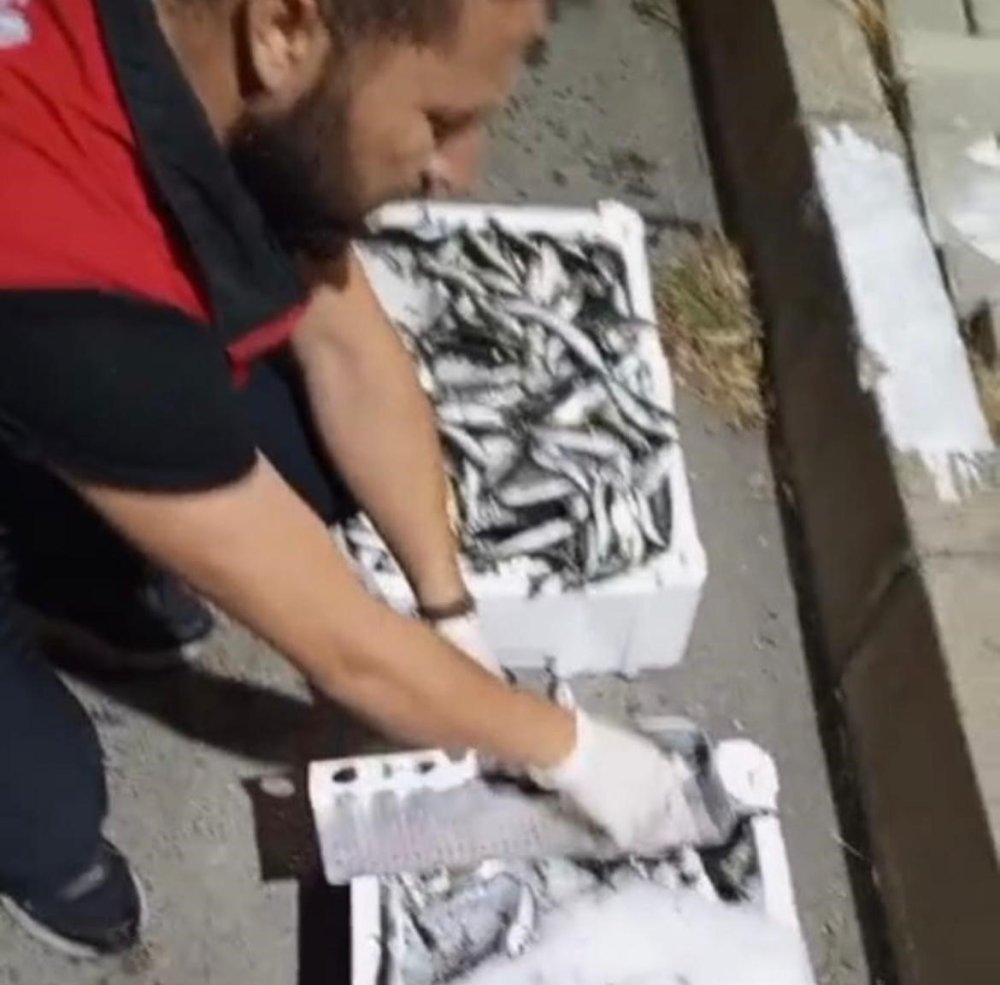 Kilolarca Balığa El Konuldu