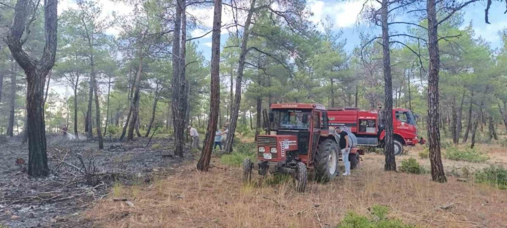 Yıldırım, Orman Yangınına Neden Oldu