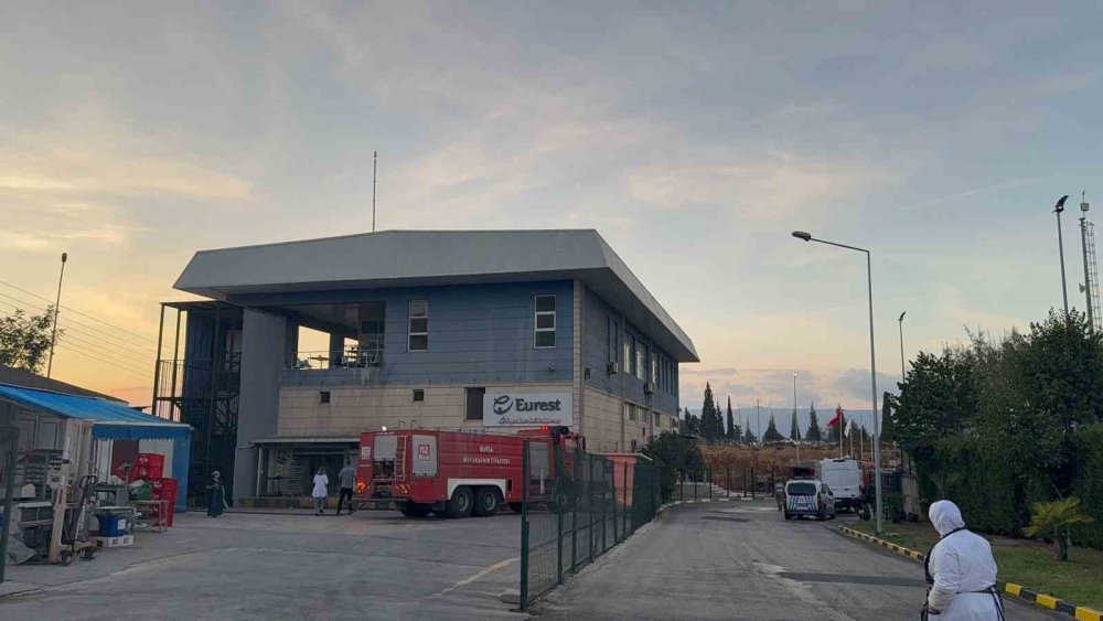 Gemlik Serbest Bölge’de Çıkan Yangın Paniğe Neden Oldu