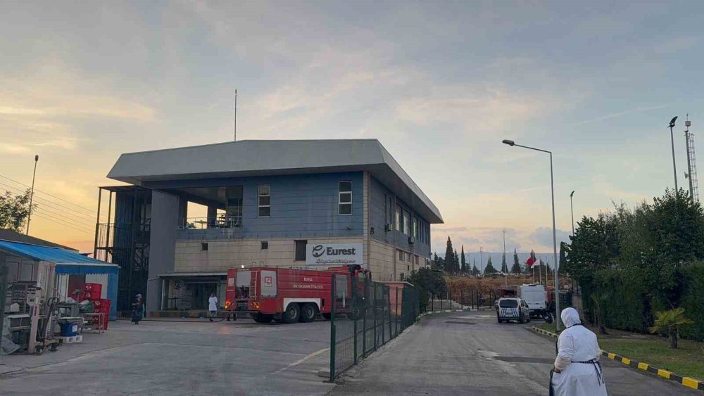 Gemlik Serbest Bölge’de Çıkan Yangın Paniğe Neden Oldu