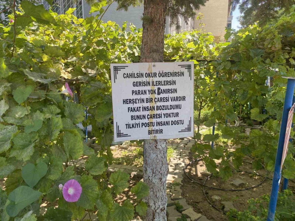 Bayram Amcanın Bahçeye Yerleştirdiği Özlü Sözler Dikkat Çekiyor