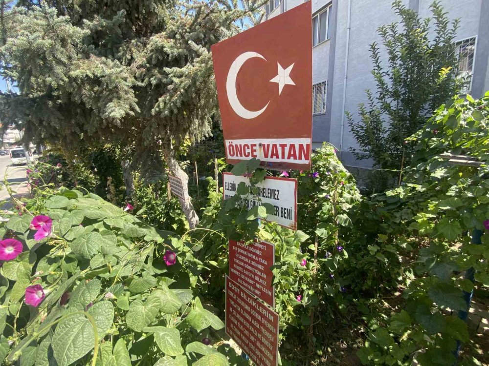 Bayram Amcanın Bahçeye Yerleştirdiği Özlü Sözler Dikkat Çekiyor