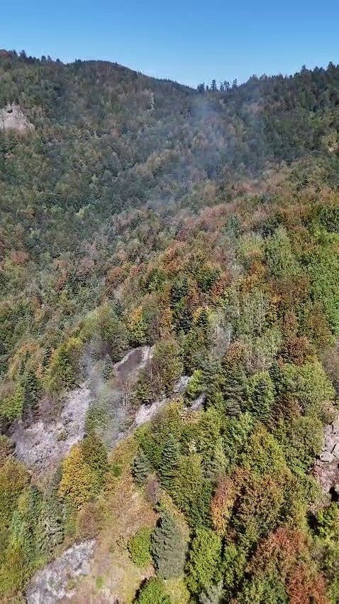Orman Yangınında Soğutma Çalışmaları Sürüyor