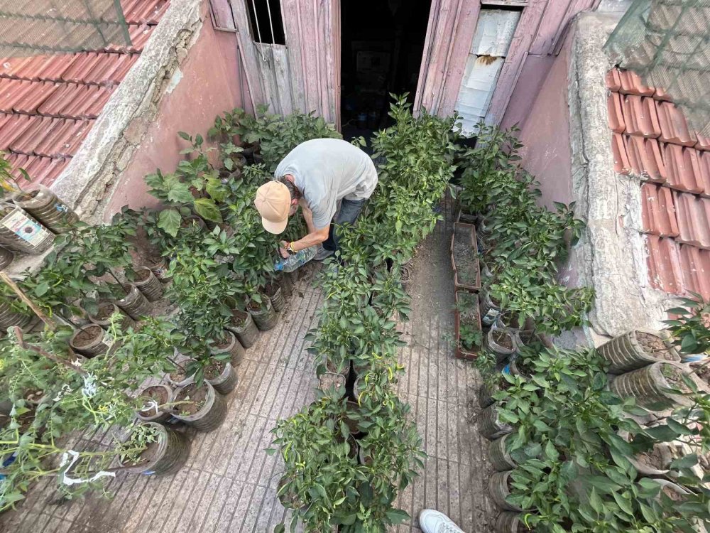 18 Metrekarelik Terasını 200 Fideyle Bahçeye Çevirdi, 8 Saatini Burada Harcıyor