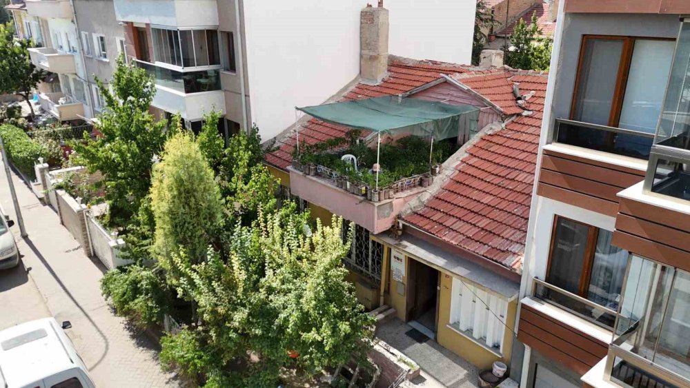 18 Metrekarelik Terasını 200 Fideyle Bahçeye Çevirdi, 8 Saatini Burada Harcıyor
