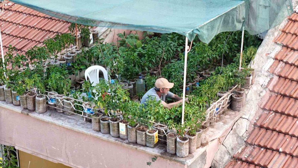 18 Metrekarelik Terasını 200 Fideyle Bahçeye Çevirdi, 8 Saatini Burada Harcıyor