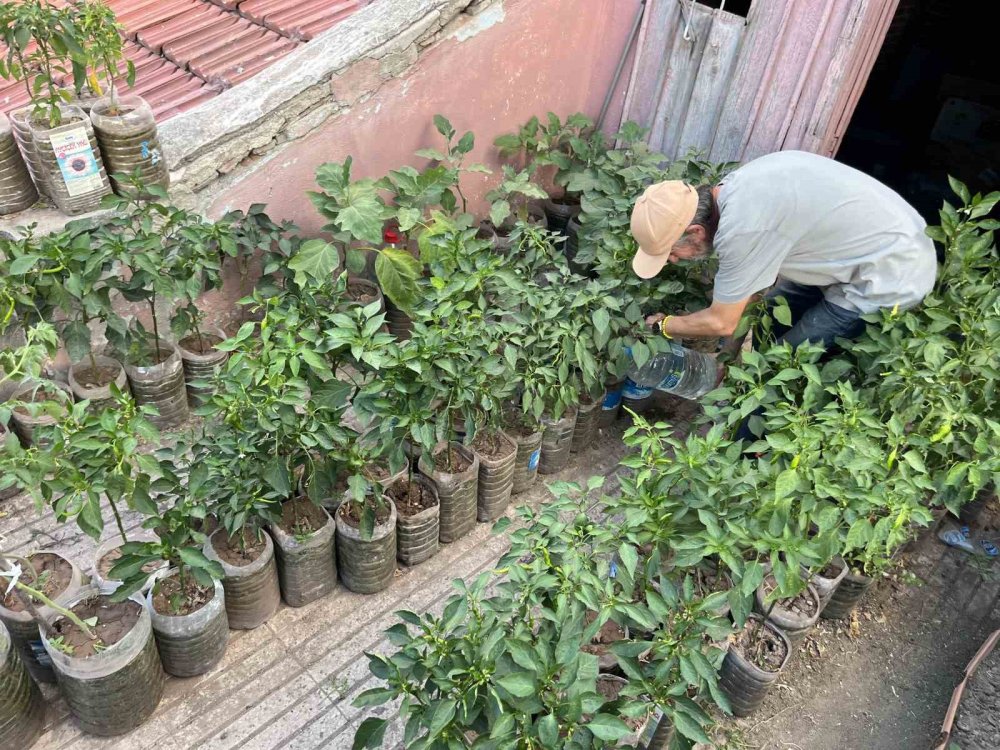 18 Metrekarelik Terasını 200 Fideyle Bahçeye Çevirdi, 8 Saatini Burada Harcıyor