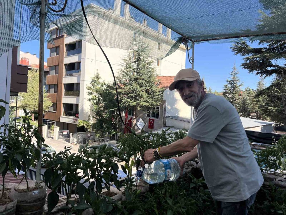 18 Metrekarelik Terasını 200 Fideyle Bahçeye Çevirdi, 8 Saatini Burada Harcıyor