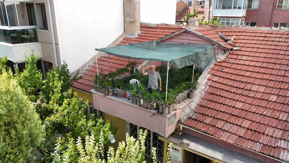 18 Metrekarelik Terasını 200 Fideyle Bahçeye Çevirdi, 8 Saatini Burada Harcıyor