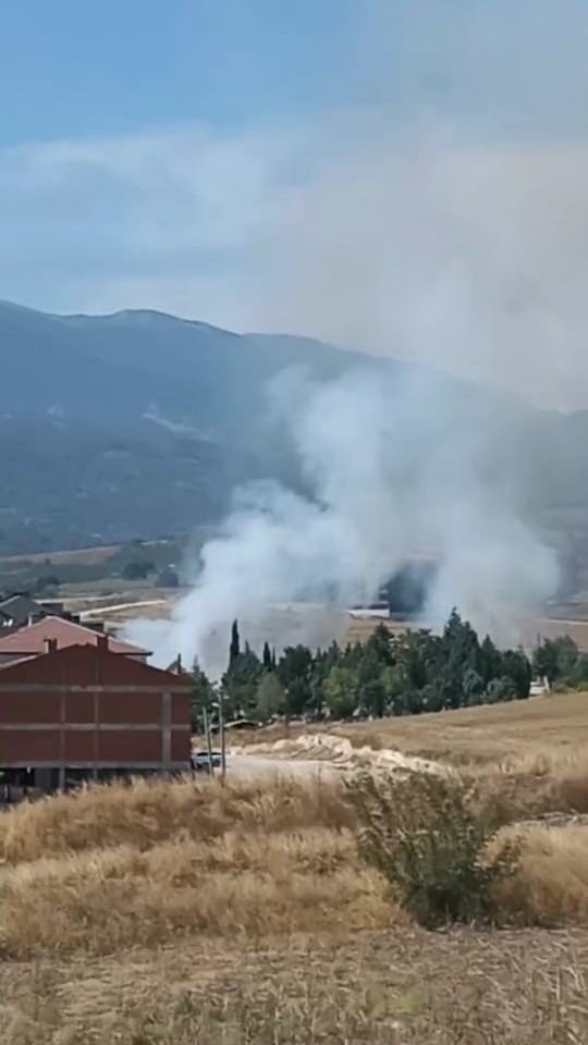 Anız Yangını Korkuttu