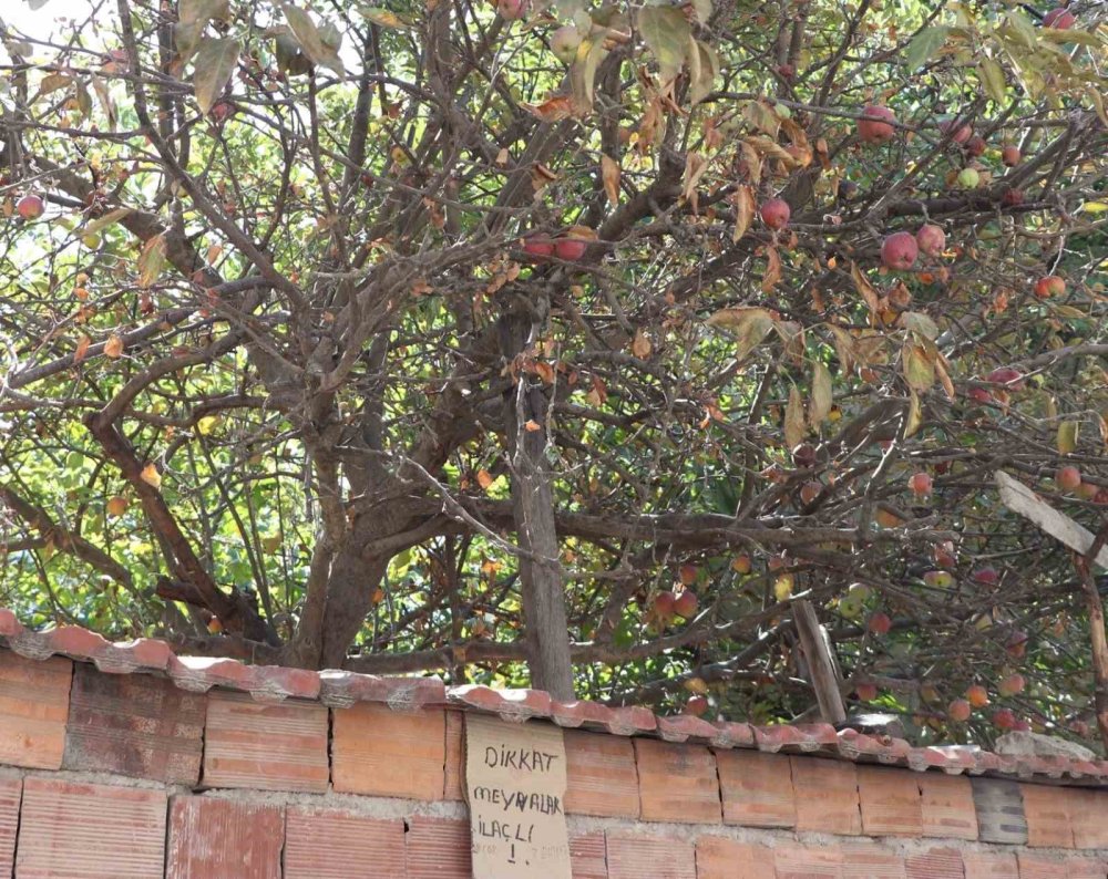 Vatandaştan Şaşırtan Uyarı