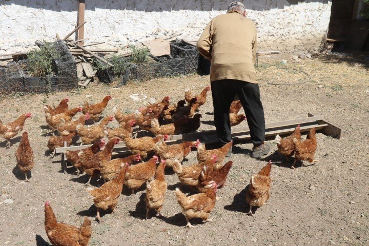 Emekli Olan Elektrik Mühendisi Huzuru Köyde Buldu