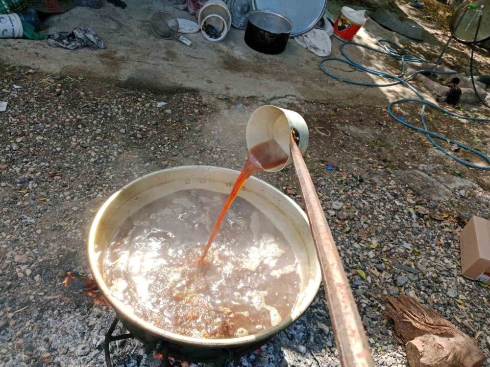 Geleneksel Pekmez Mesaisi Başladı