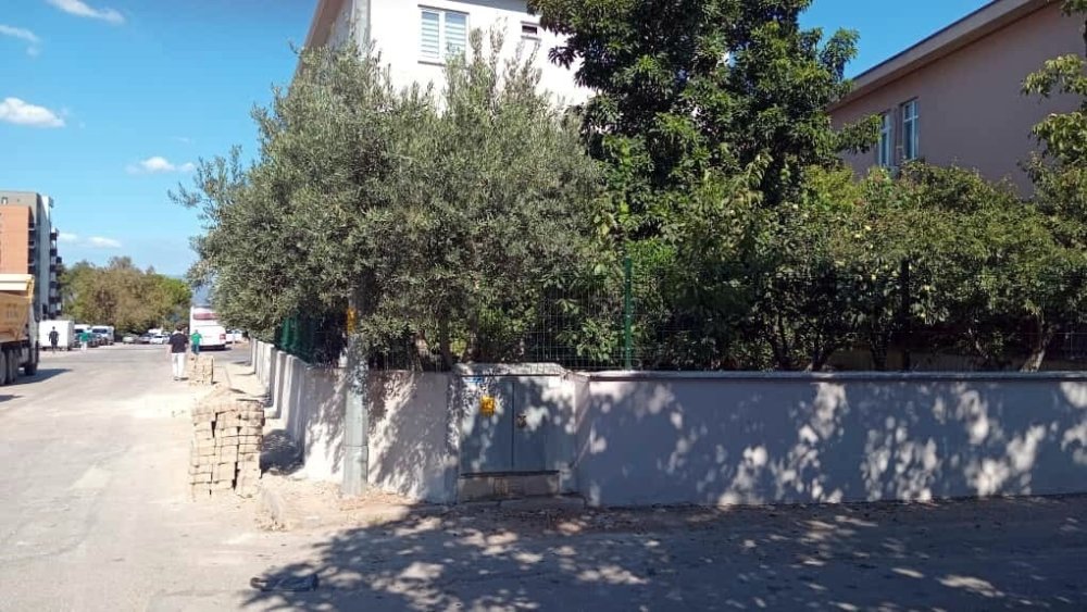 Kamuya Ait Zeytin Ağaçları Ve Kaldırım Yok Oldu