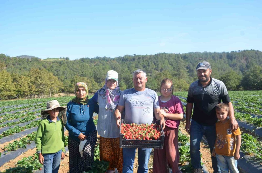 5 yıl önce 1 dönüm ile başladılar şimdi 30 dönüme çıkarttılar